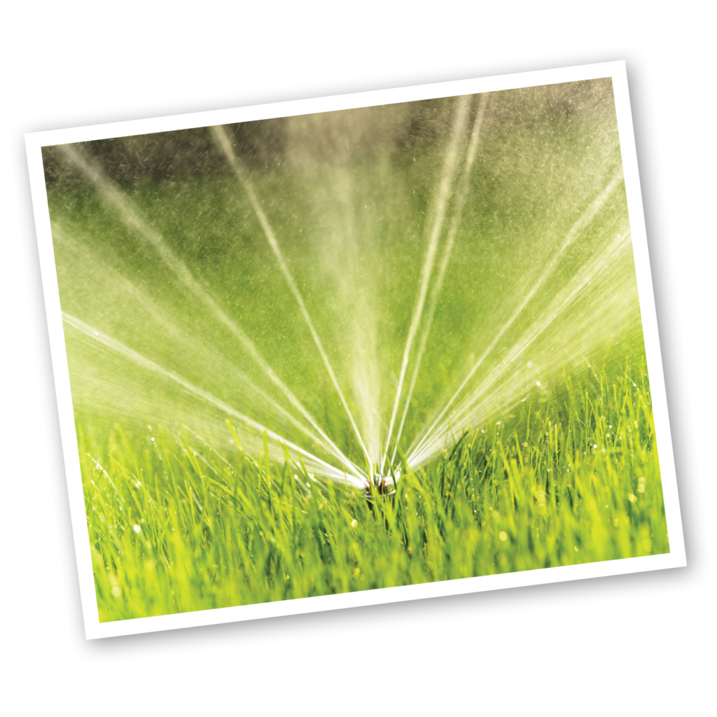 sprinkler watering sod