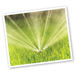 sprinkler watering sod