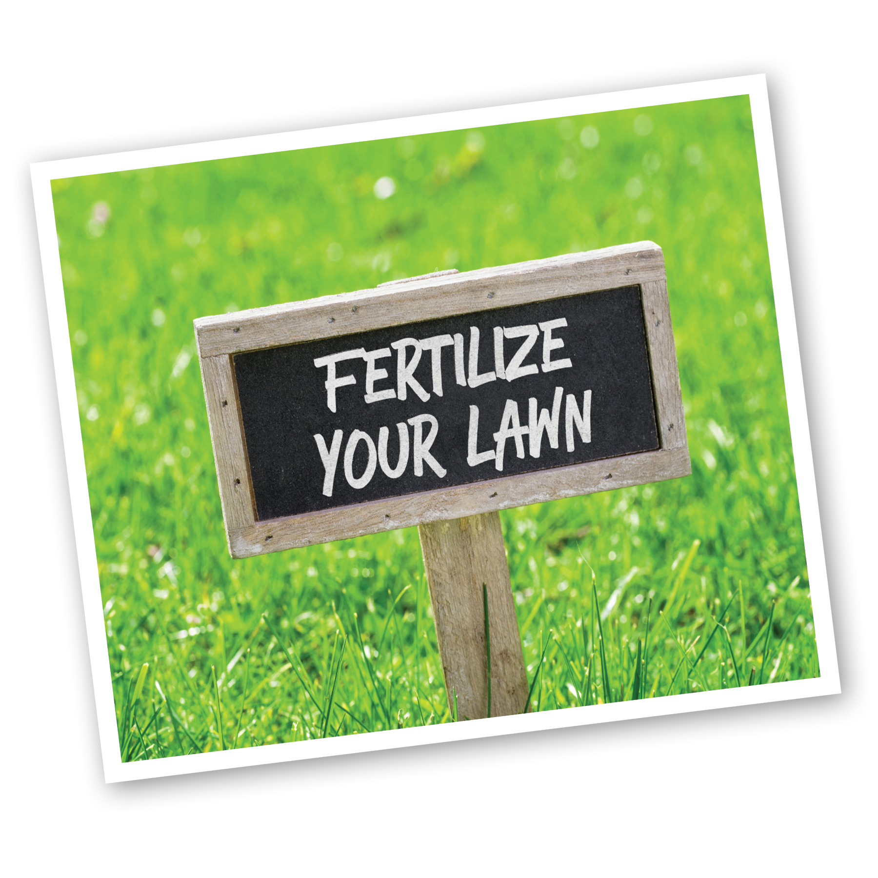 fertilizer sign in yard