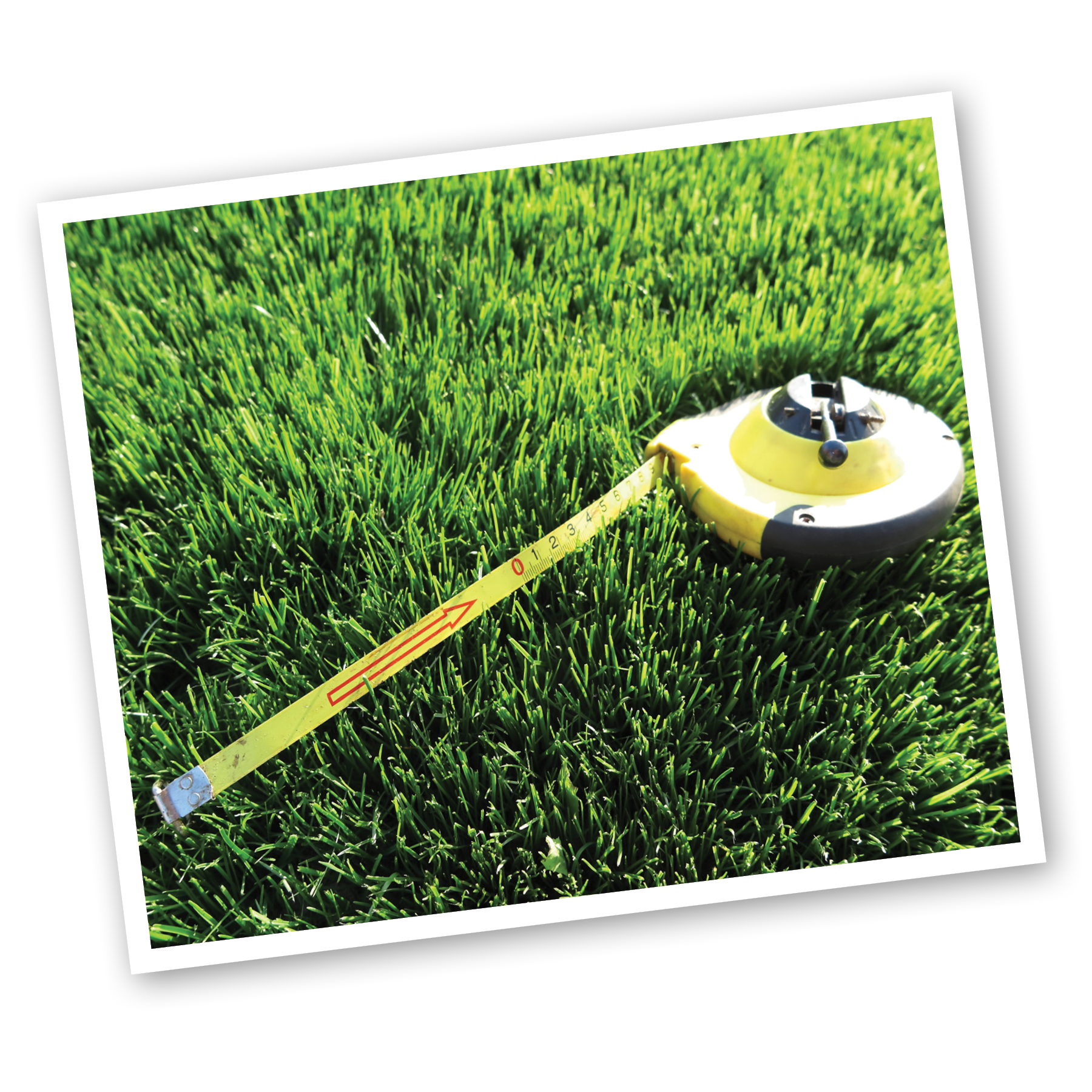 tape measure laying in grass